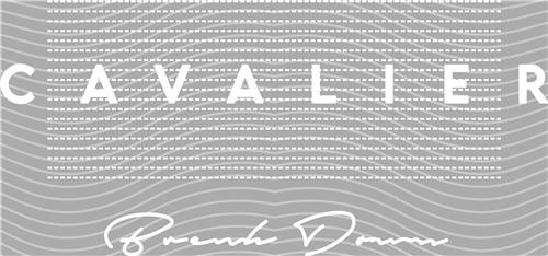 latest edition-KNY 962